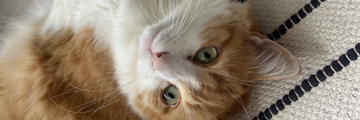 oedilee's profile banner image