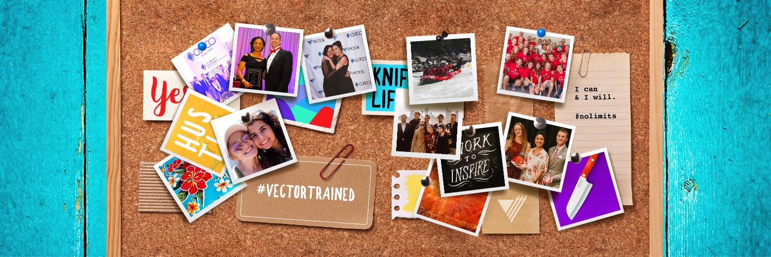 Vector Marketing banner