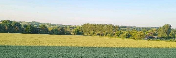 Sibagobe Ntikizeni Fezela Ntinyela banner