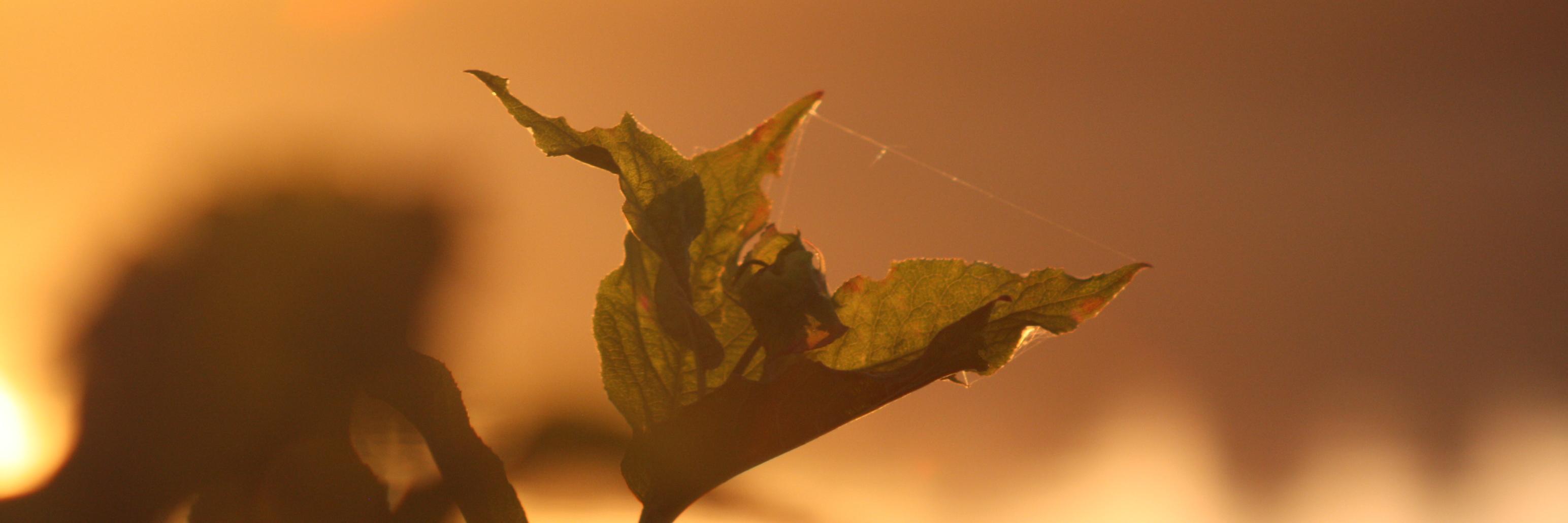 aritarizga's profile banner image