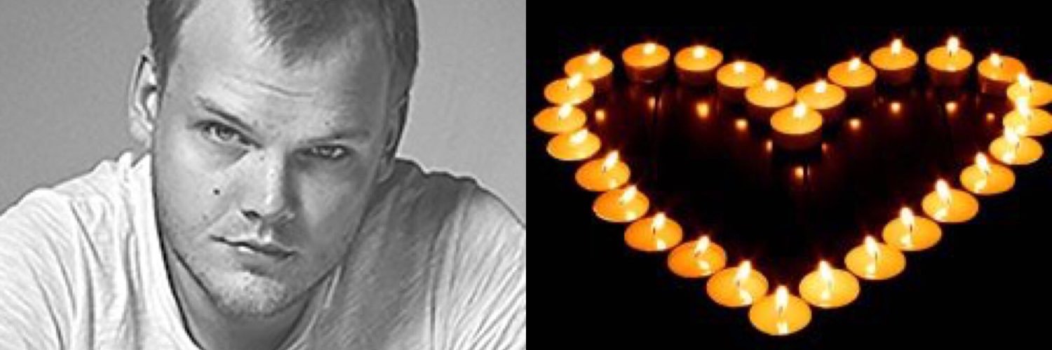 Danielle Stevens banner