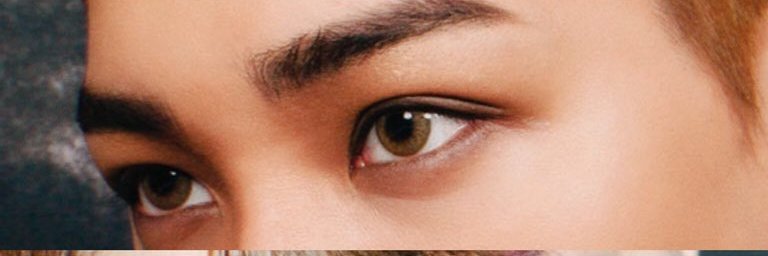 🐻❤️🦌 banner
