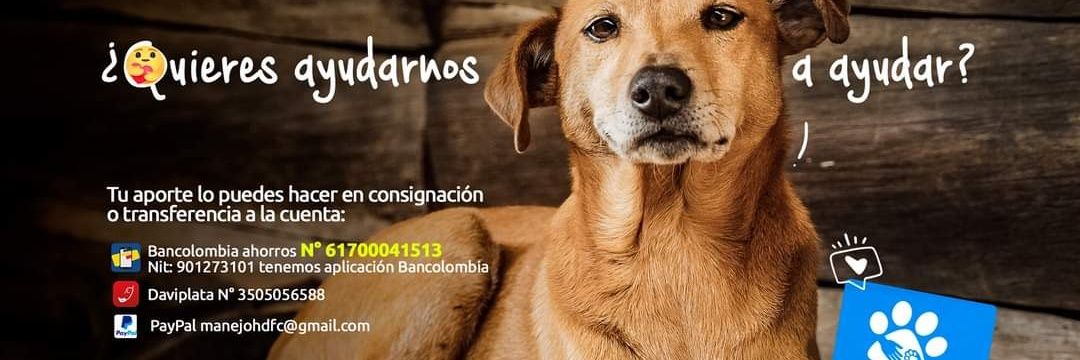 M_Humanitario's profile banner image