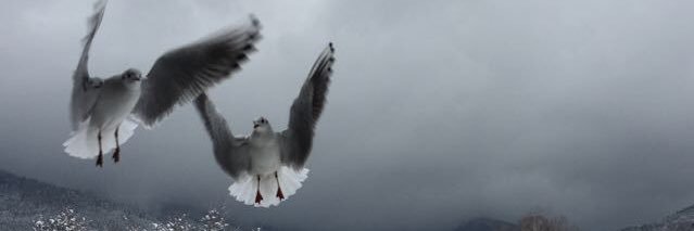 ALKhziem's profile banner image