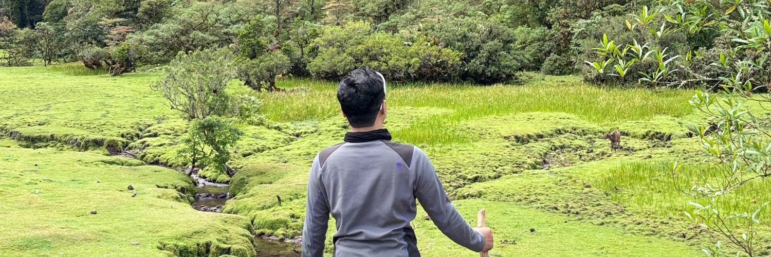 Pglher's profile banner image