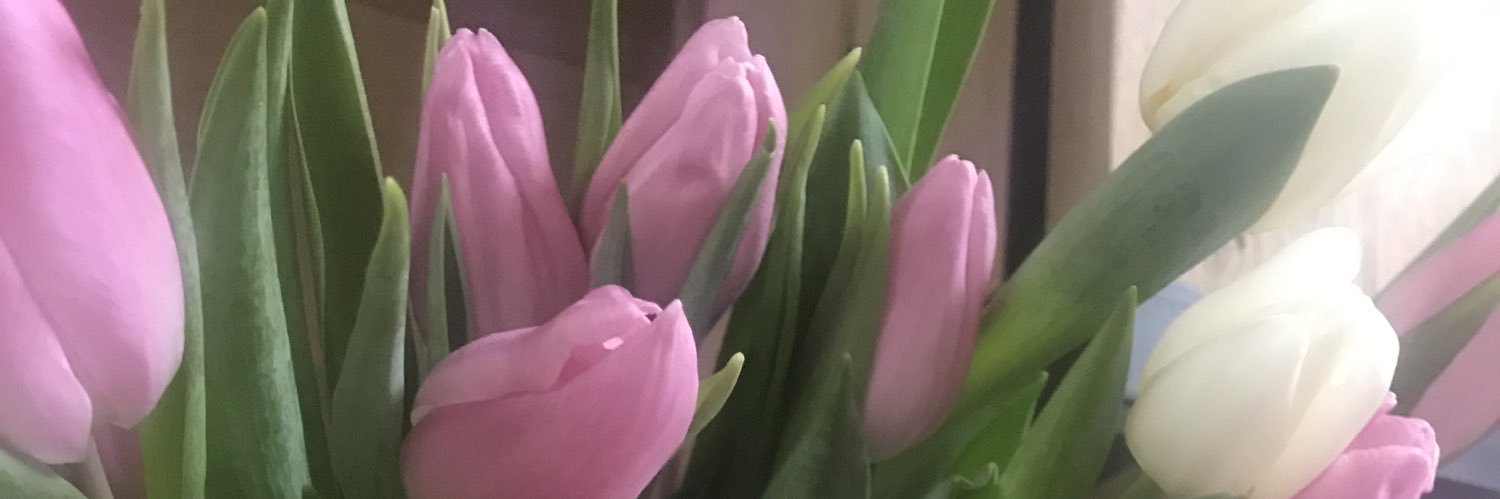 Tamaravdwerff's profile banner image