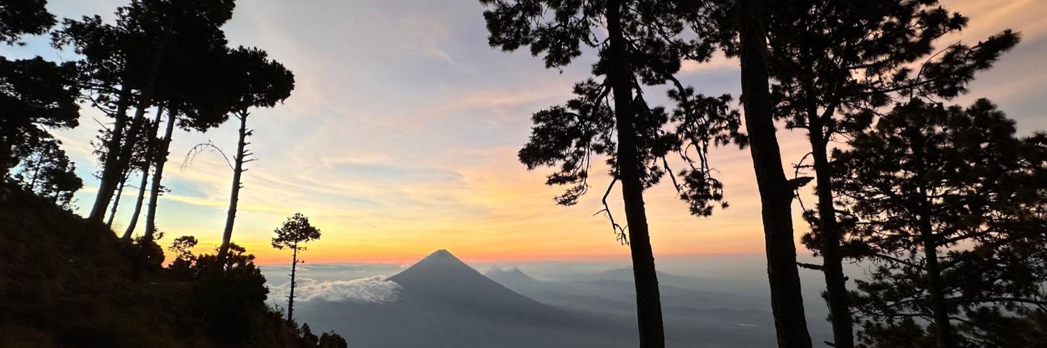 myconull's profile banner image