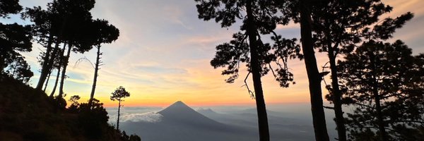 myconull Profile Banner