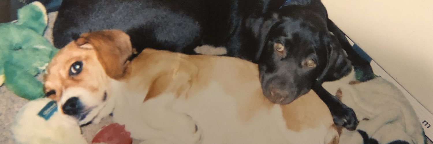 Surrwadd-KingKickAssCoolGuy banner