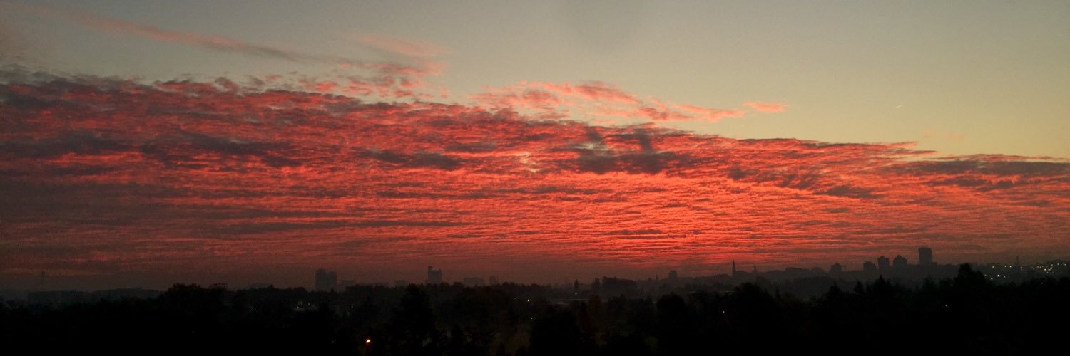 ♕Mick-o-y™♕ banner