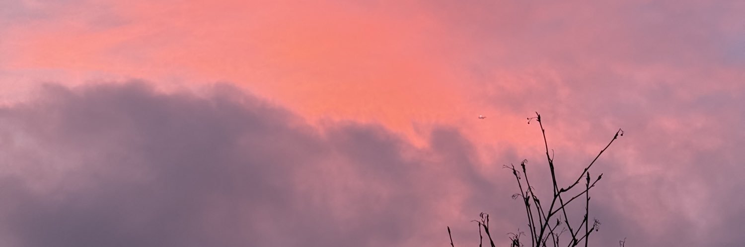 hannah 💫 banner