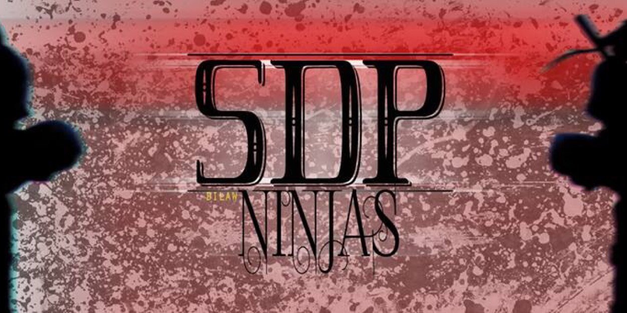 SDPninjas's profile banner image
