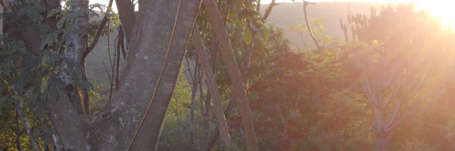 mutuohoro_ngure's profile banner image