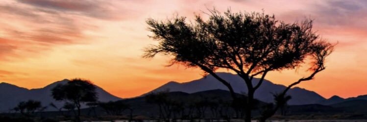 meshaal899's profile banner image