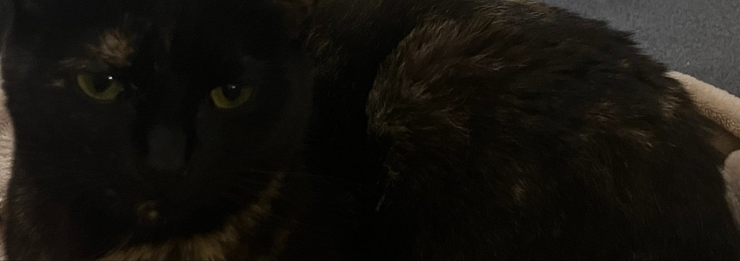 missmashiro's profile banner image