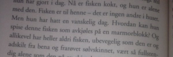 TonePrivat Profile Banner