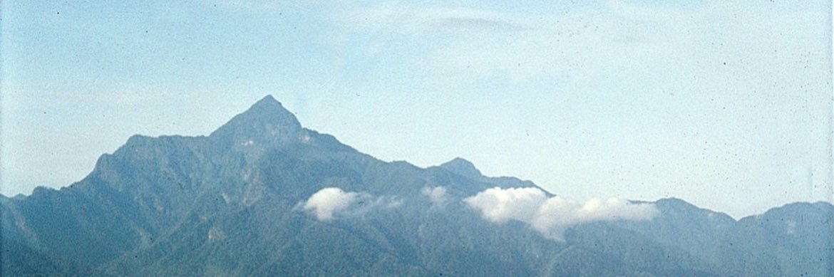 Marco Midence banner