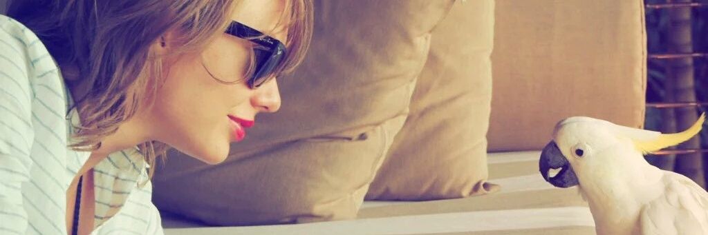 SwiftiesPLG's profile banner image
