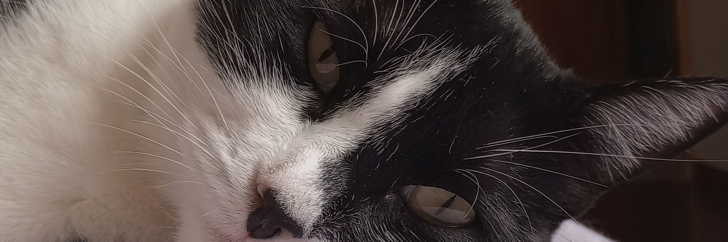bpau___'s profile banner image