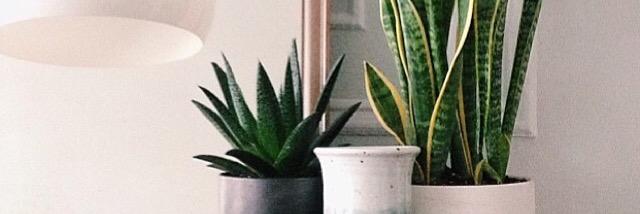 Adelinee_m's profile banner image