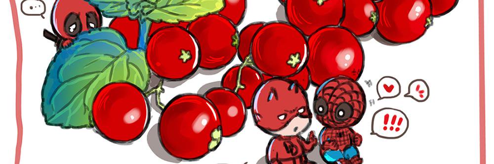ToraLightR's profile banner image