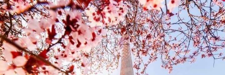 Danna_S_'s profile banner image