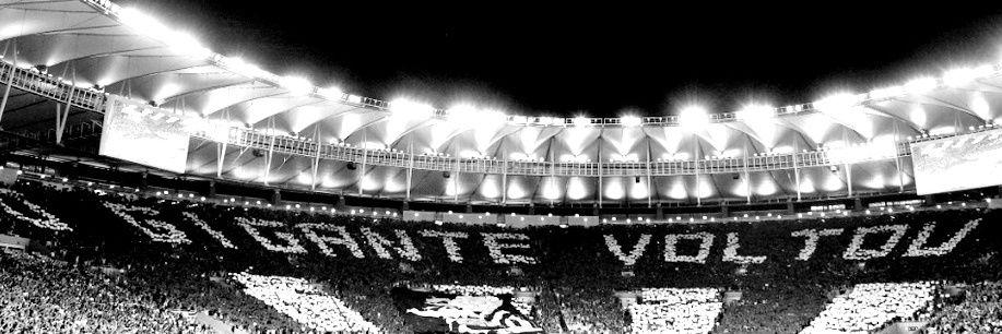 amandanbgomes's profile banner image