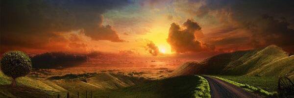 rosierblanche's profile banner image