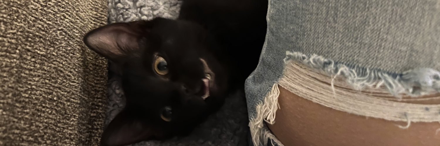 ambeeerjoones's profile banner image