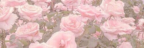 _1397mk_'s profile banner image