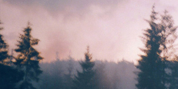 sashataogdr's profile banner image