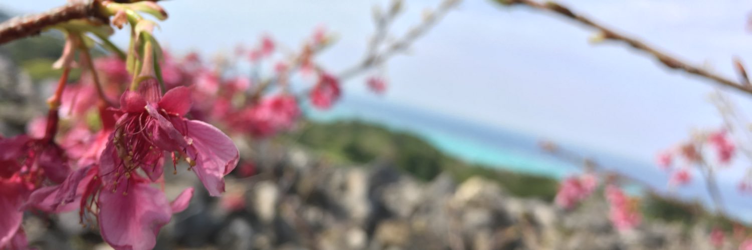 h___lotte's profile banner image