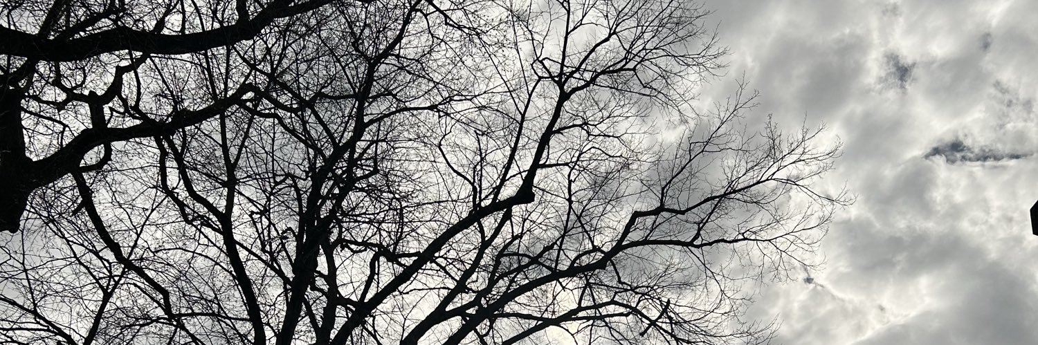 jjpk's profile banner image