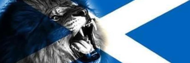 Marc McFadden banner