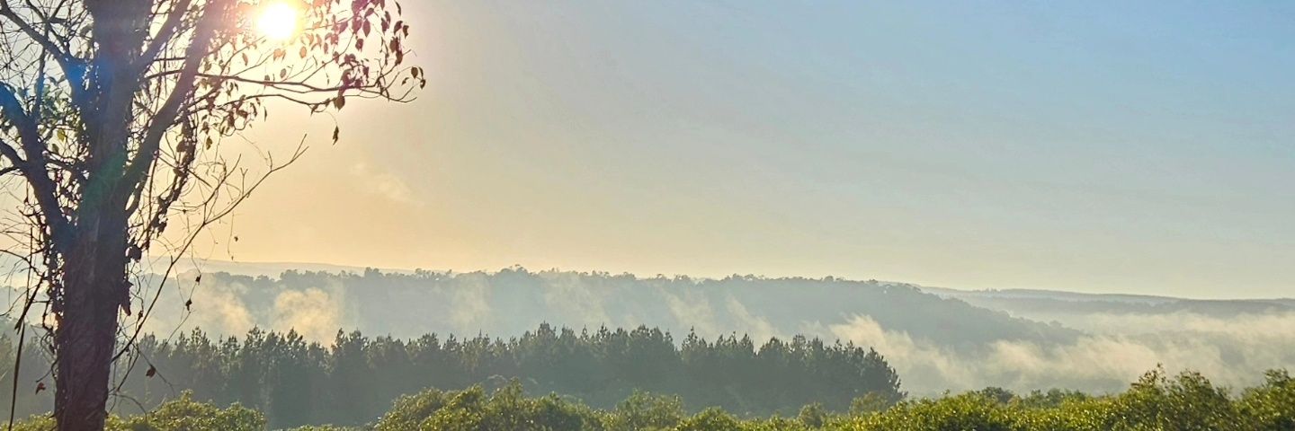 MauriCastilloTW's profile banner image
