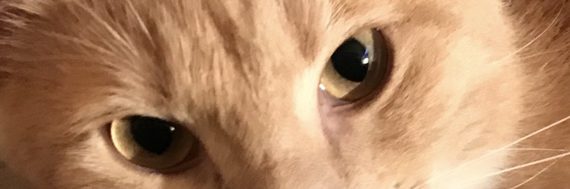 sandyZtx's profile banner image