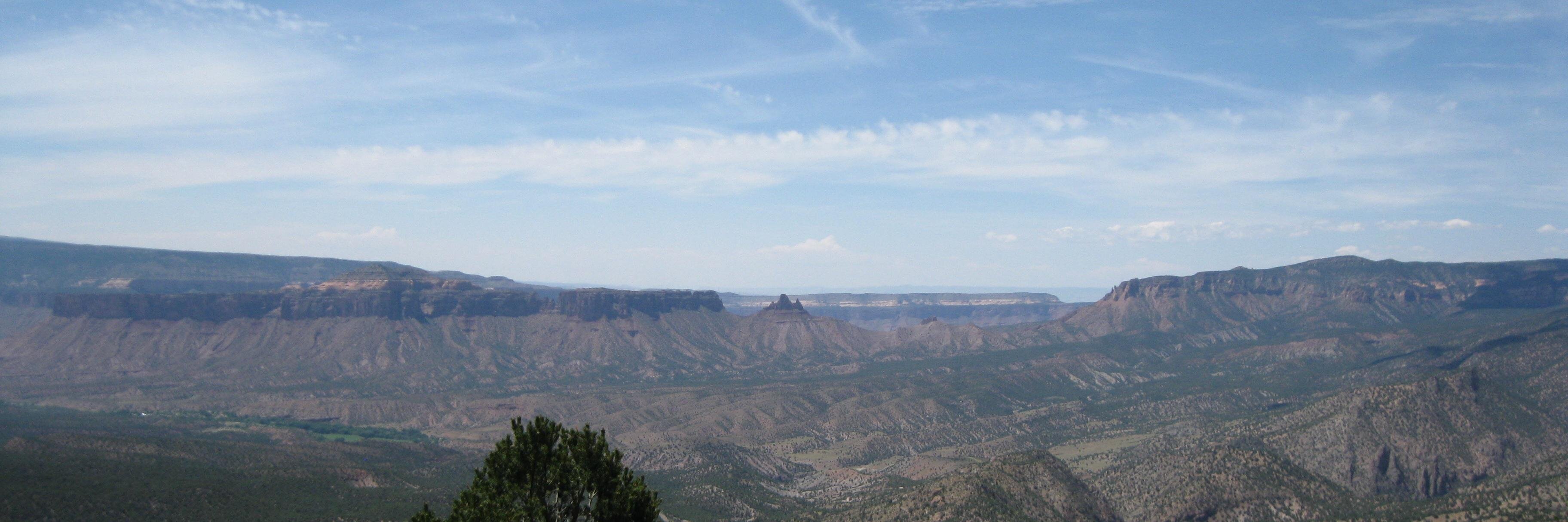 David McGimpsey banner