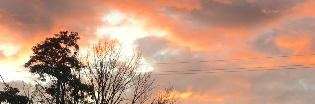 mariecarr44's profile banner image