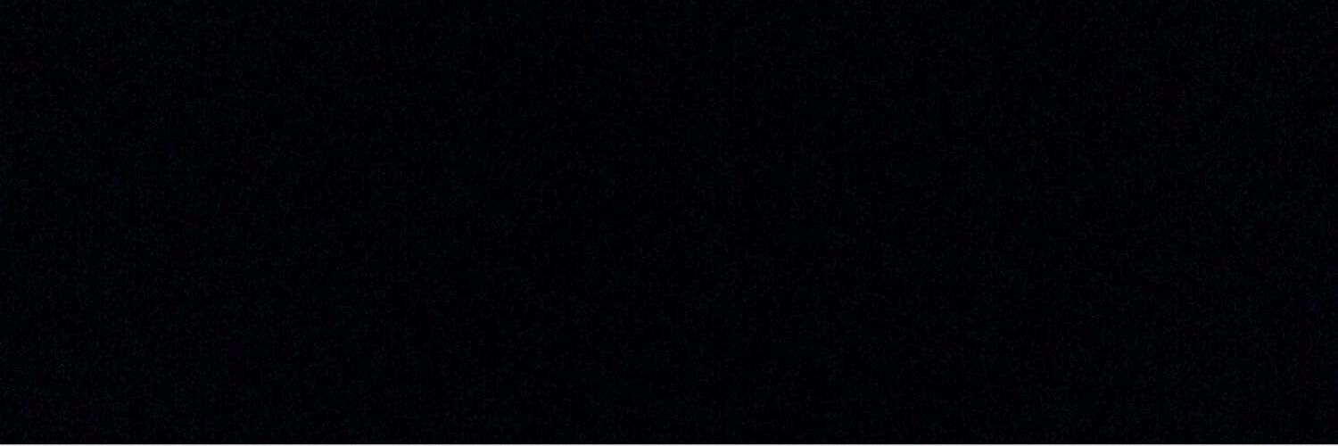 shylouiss's profile banner image
