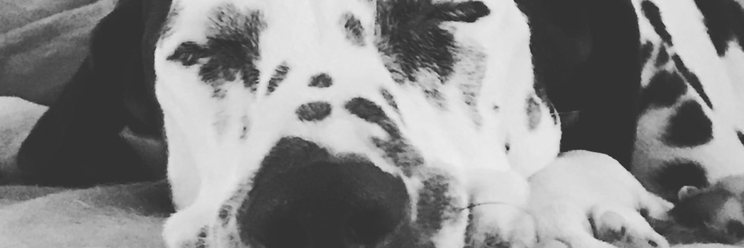Paul_Rankin5's profile banner image