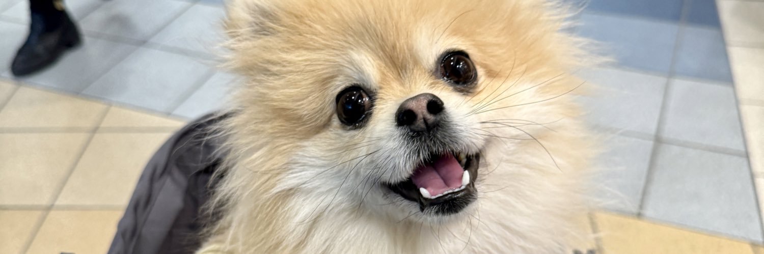 genkitoyama's profile banner image