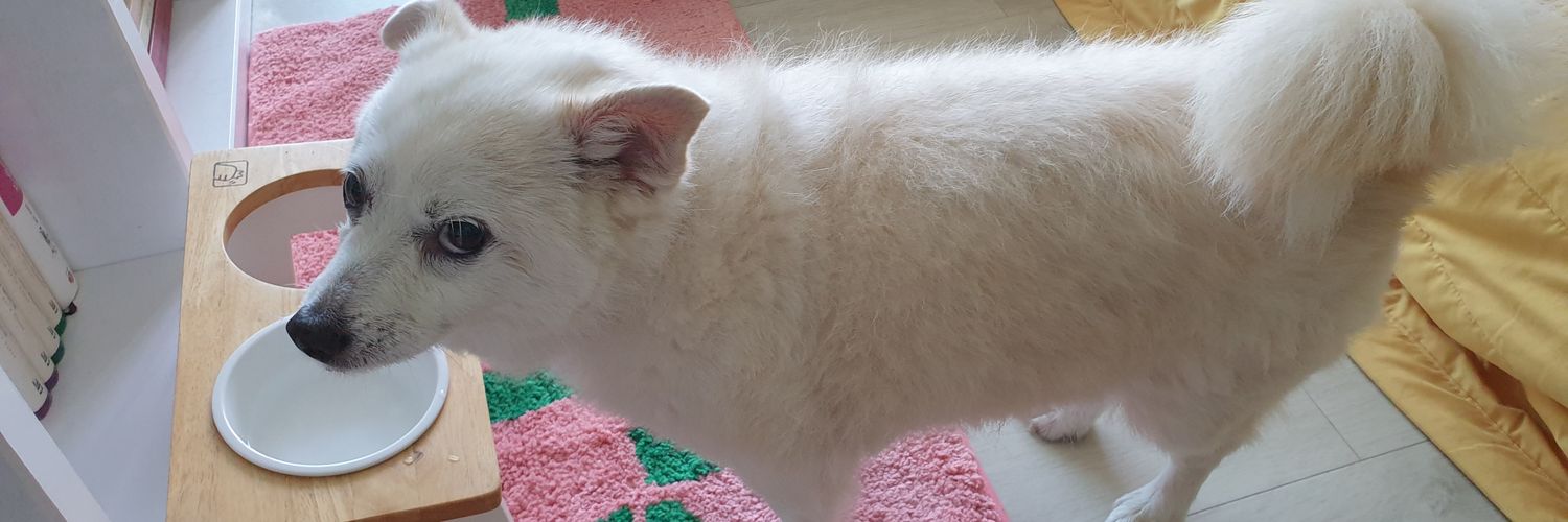 당근🌈🌹☂️ banner