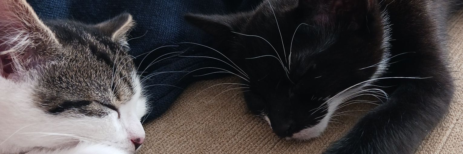 Beth R 🇬🇧🏴󠁧󠁢󠁥󠁮󠁧󠁿🇺🇦 banner