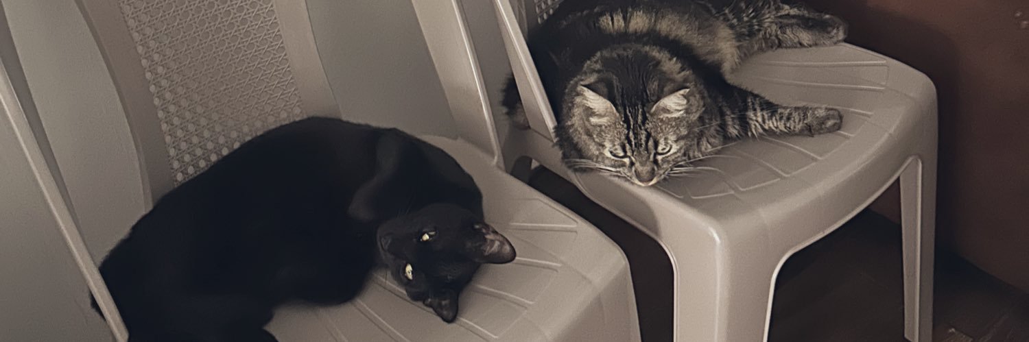owlar_'s profile banner image