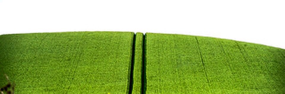 dittmann1948's profile banner image
