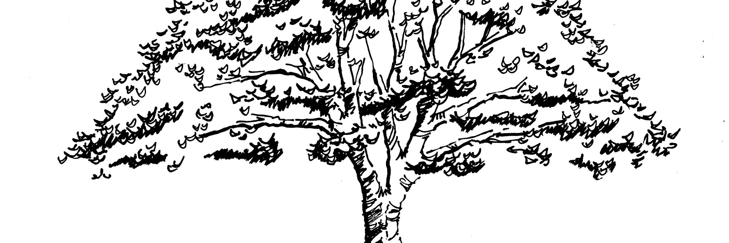 pauldubie's profile banner image