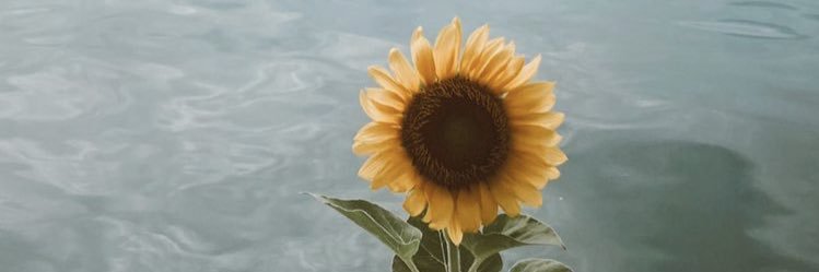 tabitafriskaa's profile banner image