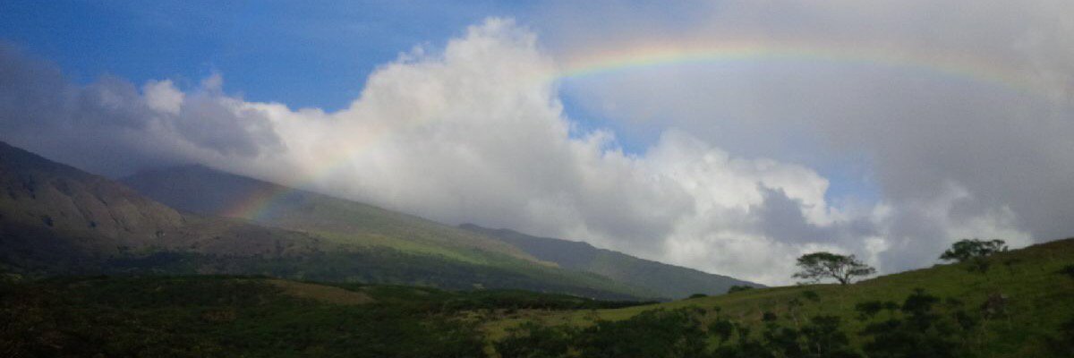 Andrea Stewart banner