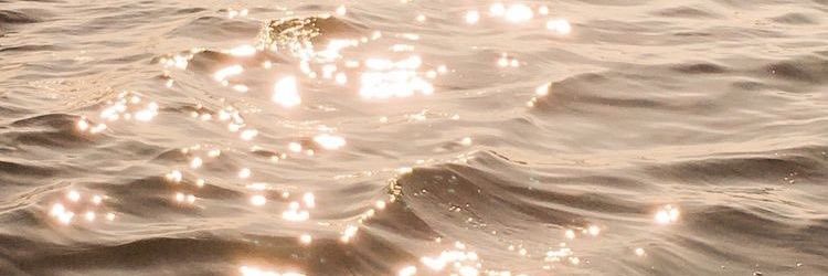 CeliaGonzalez_C's profile banner image