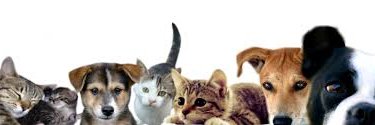 YavapaiHumane's profile banner image